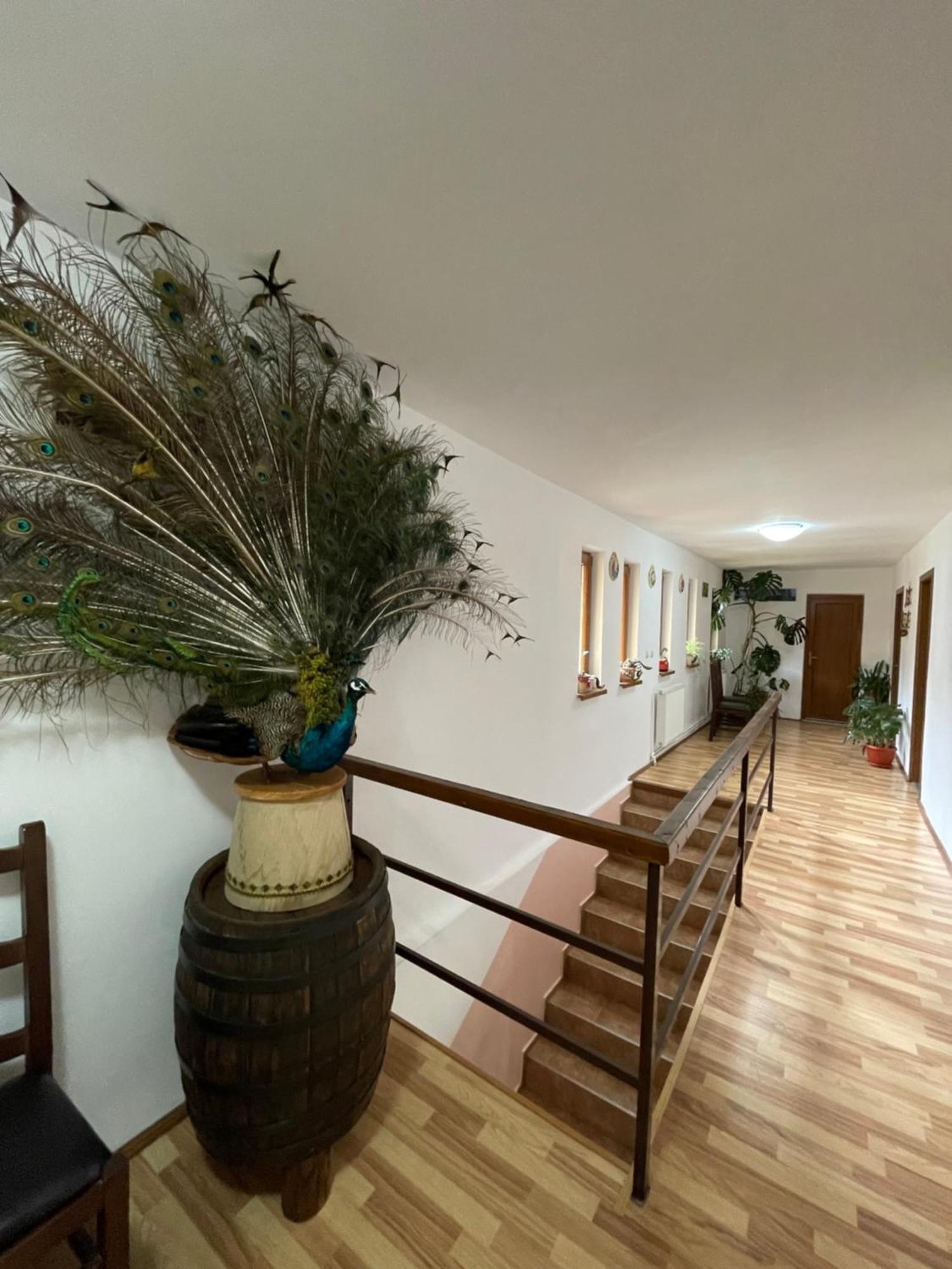 Green Mountain Resort Scrind-Frăsinet Dış mekan fotoğraf