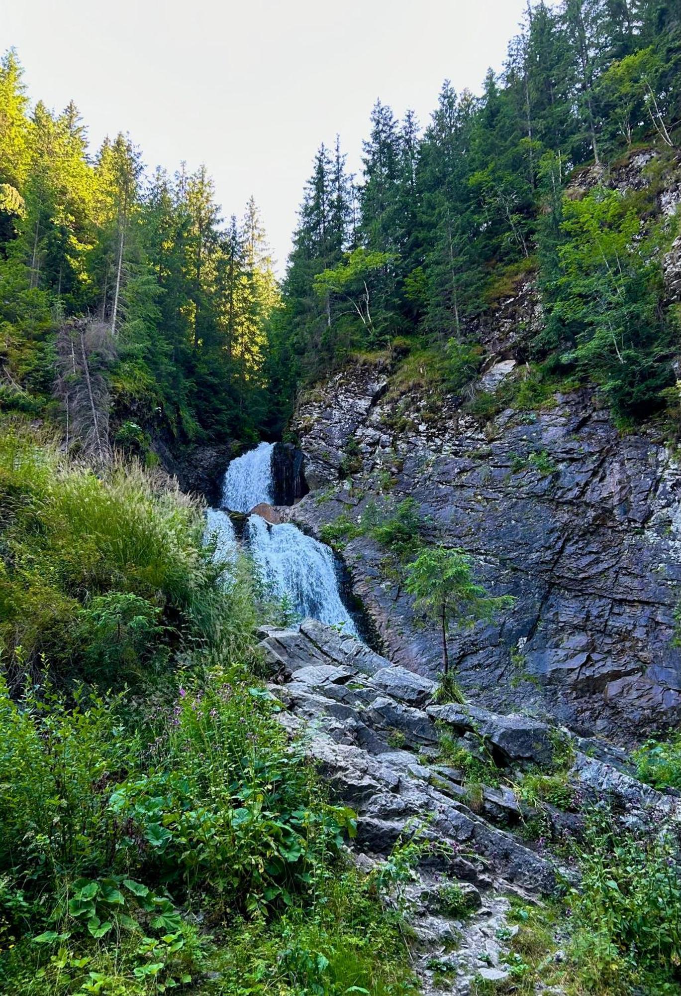 Green Mountain Resort Scrind-Frăsinet Dış mekan fotoğraf